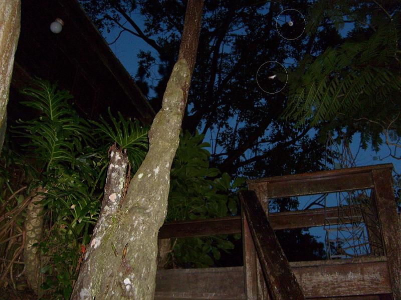 Copy of YabucoaPR.JPG